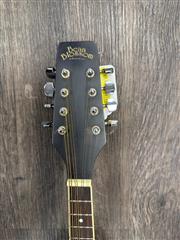 MORGAN MONROE BEAN BLOSSOM MANDOLIN W/CASE (B03092657) | eBay